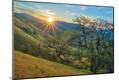 Premium Photographic Print