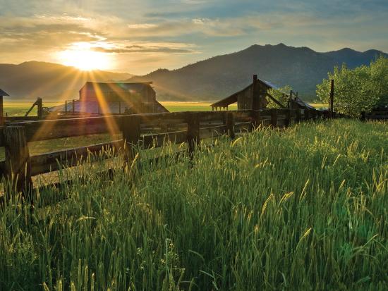 Photographic Print, , large