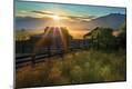 Photographic Print