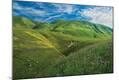 Premium Photographic Print