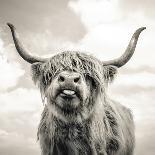 Close Upon a Cows Face-Mark Gemmell-Photographic Print