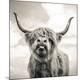 Premium Photographic Print