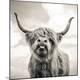 Premium Photographic Print