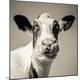 Premium Photographic Print