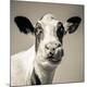Premium Photographic Print