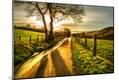 Premium Photographic Print