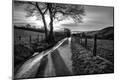 Photographic Print