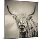 Premium Photographic Print
