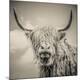 Premium Photographic Print