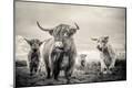 Premium Photographic Print