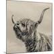 Premium Photographic Print