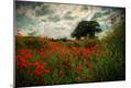 Premium Photographic Print