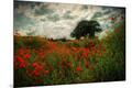 Photographic Print