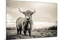 Premium Photographic Print