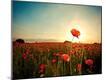 Photographic Print
