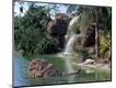 Photographic Print