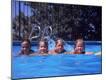 Photographic Print