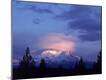 Premium Photographic Print