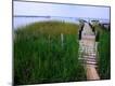 Premium Photographic Print
