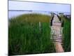 Premium Photographic Print