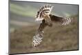Premium Photographic Print