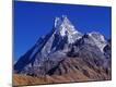 Premium Photographic Print