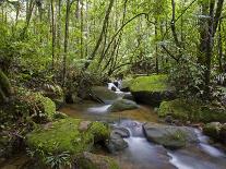Rainforest and Waterfall in Biopark Near Entrance to Mount Kinabalu National Park, Sabah, Borneo-Mark Hannaford-Photographic Print