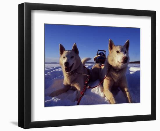 Photographic Print, , large