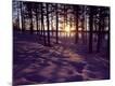 Photographic Print