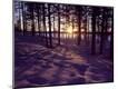 Photographic Print