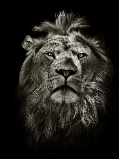 Photographic Print, , large