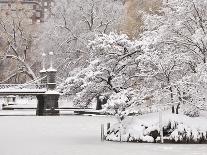 Snow covered trees with a footbridge in a public park, Boston Public Garden, Boston, Massachusetts,-Mark Hunt-Mounted Photographic Print