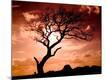 Photographic Print
