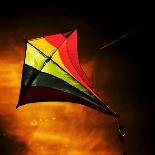 Kite-Mark James Gaylard-Photographic Print