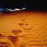 A Golden Beach in Australia-Mark James Gaylard-Mounted Photographic Print