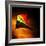 Mark James Gaylard Mark James Gaylard-Trigger Image-Framed Photographic Print