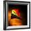 Mark James Gaylard Mark James Gaylard-Trigger Image-Framed Photographic Print