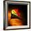 Mark James Gaylard Mark James Gaylard-Trigger Image-Framed Photographic Print