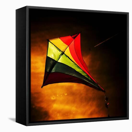 Mark James Gaylard Mark James Gaylard-Trigger Image-Framed Premier Image Canvas