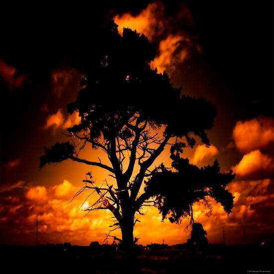 Photographic Print, , large