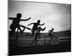 Premium Photographic Print