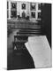 Premium Photographic Print