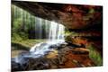 Photographic Print
