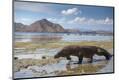 Premium Photographic Print
