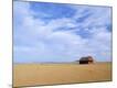 Photographic Print