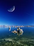 Moon Over Tufa Formations, Mono Lake Tufa State Reserve, Mono Lake, U.S.A.-Mark Newman-Framed Photographic Print