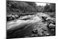 Photographic Print