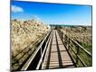 Photographic Print