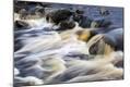 Photographic Print