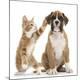 Premium Photographic Print